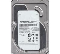 ST31000524NS, 9WK, KRATSG, PN 9JW154-176, FW BB28, IBM 1TB SATA 3.5 Hard Drive