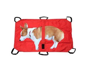 Stabilising support: thanks to its rigid structure that avoids dangerous movements, this safe transport device protects vulnerable animals during the , satisfying the needs of