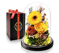 Stabilized Eternal Rose & Gerbera | Luxury Gift with LED Light | Perfect for Anniversaries, Mother's Day | Ideal for Wife, Girlfriend, Mom and Grandma | Preserved Flowers That Last Years