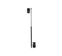 STABILUS 2599YY Tailgate strut