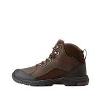 Stable shoes Ariat Skyline Mid H2O Marron 44