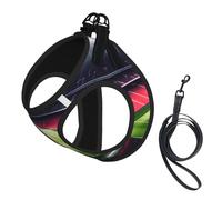 Stadium Football Satdium Field Light Night Print Small Dog Harness with Leash Set, No Escape Easy Walk Puppy Harnesses for Training Walking