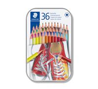 STAEDTLER 175 M36 Wood-Free Coloured Pencils - Assorted Colours (Tin of 36)