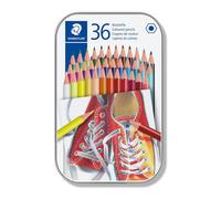 Staedtler Colored Pencils 36 Units