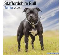 Staffordshire Bull Terrier 2025 Square Wall Calendar NEW