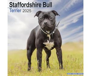 Staffordshire Bull Terrier 2025 Square Wall Calendar | Dog Breed, Staffie, Staffy Calendar