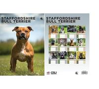 Staffordshire Bull Terrier 2026 Calendar - A3 Size 30 x 42 cm, 12 Months of Great Photography