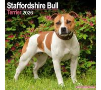 Staffordshire Bull Terrier 2026 Calendar | Square Wall Calendar | Dog Breed Gift | Plastic Free Packaging | by Avonside Publishing