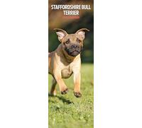 Staffordshire Bull Terrier 2026 Slim Calendar