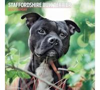 Staffordshire Bull Terrier 2026 Traditional Calendar