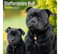 Staffordshire Bull Terrier Calendar 2027, Wall Calendars, Month To View, Gift