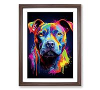 Staffordshire Bull Terrier Colour Field Framed Wall Art Print A2 Walnut
