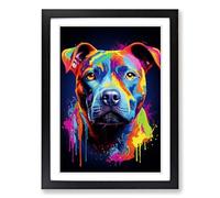 Staffordshire Bull Terrier Colour Field Framed Wall Art Print - Ready to Hang Picture - Modern Art for Living Room Bedroom Kitchen Home - Black A3 (36 x 48 cm)