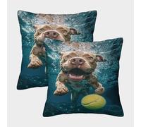 Staffordshire Bull Terrier Cushion Cover 2 Pack Decorative Machine Washable Pillowcases Square Pillow Cases with Invisible Zipper Cushion Covers for Living Room Sofa Couch Bed Throw Pillow Case 45x45c