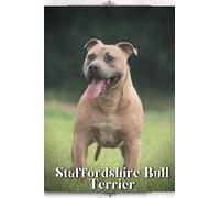 Staffordshire Bull Terrier: Dog breed overview and guide