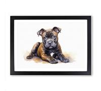 Staffordshire Bull Terrier Dog Watercolour Framed Wall Art Print A2 Black
