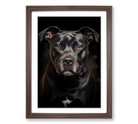 Staffordshire Bull Terrier Informel Framed Print | A2 Walnut Framed Wall Art | Ready to Hang | Modern Animal Picture | Living Room Bedroom Lounge Office