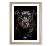 Staffordshire Bull Terrier Informel Framed Wall Art Print A2 Oak