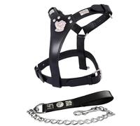 Staffordshire Bull Terrier Leather Harness and Lead Heavy Duty Black Chrome 2 Piece Set