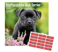 Staffordshire Bull Terrier Puppies Calendar 2026 | with Organisational Stickers | Jan 2026 to Dec 2026 with a 2027 Planner Page