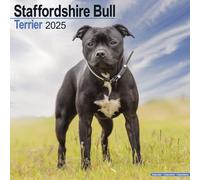 Staffordshire Bull Terrier 2025 Square Wall Calendar NEW