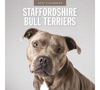 Staffordshire Bull Terriers - 2027 Square Wall Calendar - by Red Robin Publishing
