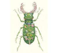 Stag Beetle Card Daniel Mackie Designs 7 x 5 inches wrapped in cello with envelope