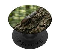 Stag Beetle Tree Bark Wildlife Insect Forest Scene PopSockets Adhesive PopGrip