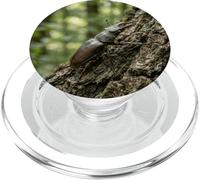 Stag Beetle Tree Bark Wildlife Insect Forest Scene PopSockets PopGrip for MagSafe