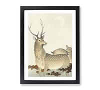 Stag & Doe Deer By Ohara Koson Asian Japanese Framed Wall Art Print, Ready to Hang Picture for Living Room Bedroom Home Office Décor, Black A2 (64 x 46 cm)