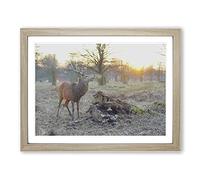 Stag Forest Landscape Modern Framed Print | A3 Oak Framed Wall Art | Ready to Hang | Modern Animal Picture | Living Room Bedroom Lounge Office
