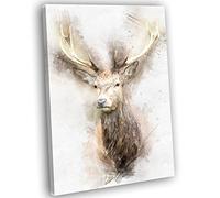 Stag Head Watercolour Canvas Art Print Framed Animal Picture (40x25cm / 16x10inch)