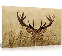 Stag in Grass Animals Canvas Wall Art Picture Print (18x12in)