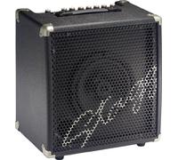 Stagg 40W RMS, 2-channel combo for Electric Double Bass