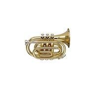 Stagg Bb Pocket Trumpet with case - Brass Lacquer