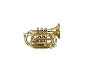 Stagg Bb Pocket Trumpet with case - Brass Lacquer