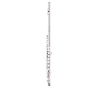 Stagg C Flute Basic,Closed,Offset