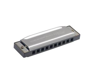 Stagg Howlin Harp Blues Harmonica in D Major BJH-B20 D