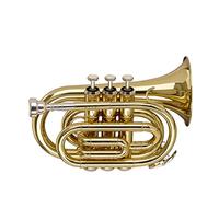 Stagg Pocket Trumpet (WS-TR245S US)