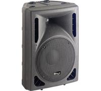Stagg SMS12 250-Watt Speaker with 12-Inch Woofer & Compression Horn Tweeter - Black