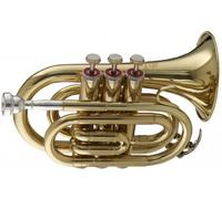 Stagg WS - TR245 Bb Pocket Trumpet with Case 6.00 x 3.00 x 8.00 inches