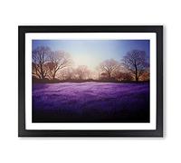 Staggering Bluebell Field Sunrise Framed Print | A3 Black Framed Wall Art | Ready to Hang | Modern Landscape Picture | Living Room Bedroom Lounge Office