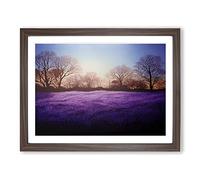 Staggering Bluebell Field Sunrise Framed Print | A4 Walnut Framed Wall Art | Ready to Hang | Modern Landscape Picture | Living Room Bedroom Lounge Office
