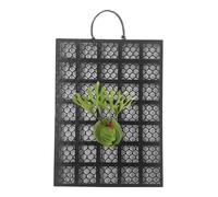 Staghorn Fern Board - Wall Planter Frame Board | Tree Fern Fiber Panels, Vertical Plant Planter, Plyc Orchid Support for Garden, Indoor and East