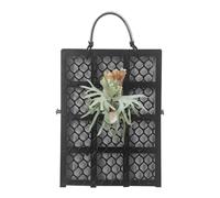 Staghorn Fern Mount - Vertical Plant Wall Planter Frame Board, Natural Display Growing Support Panel, Durable Botanical Mounting Base | Plant Mount For Indoor Outdoor Bedroom Living Room Garden Home