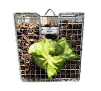 Staghorn Fern Mounting Kit,Vertical Hangable Holder for Orchids | 304 Stainless Steel Basket for Orchids Indoor Outdoor Living Room Bedroom Porch Balcony Yard Home