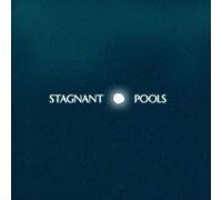 Stagnant Pools - Temporary Room