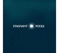 Stagnant Pools - Temporary Room [VINYL]