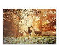 Stags and deer in an autumn forest with mist Poster by Alex Saberi 150 x 100 cm Brown Wall art Wall decor