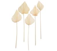 STAHAD 5pcs Natural Dried Leaf Decor Natural Dried Plant Leaf Decor Delicate Workmanship White Flower Lightweight Artistic Design Easy to Decorate Wedding for Living Room Space